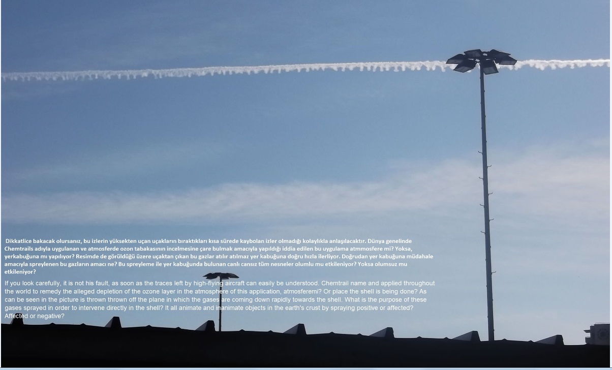 DSCF0675.jpg (174593 bytes)