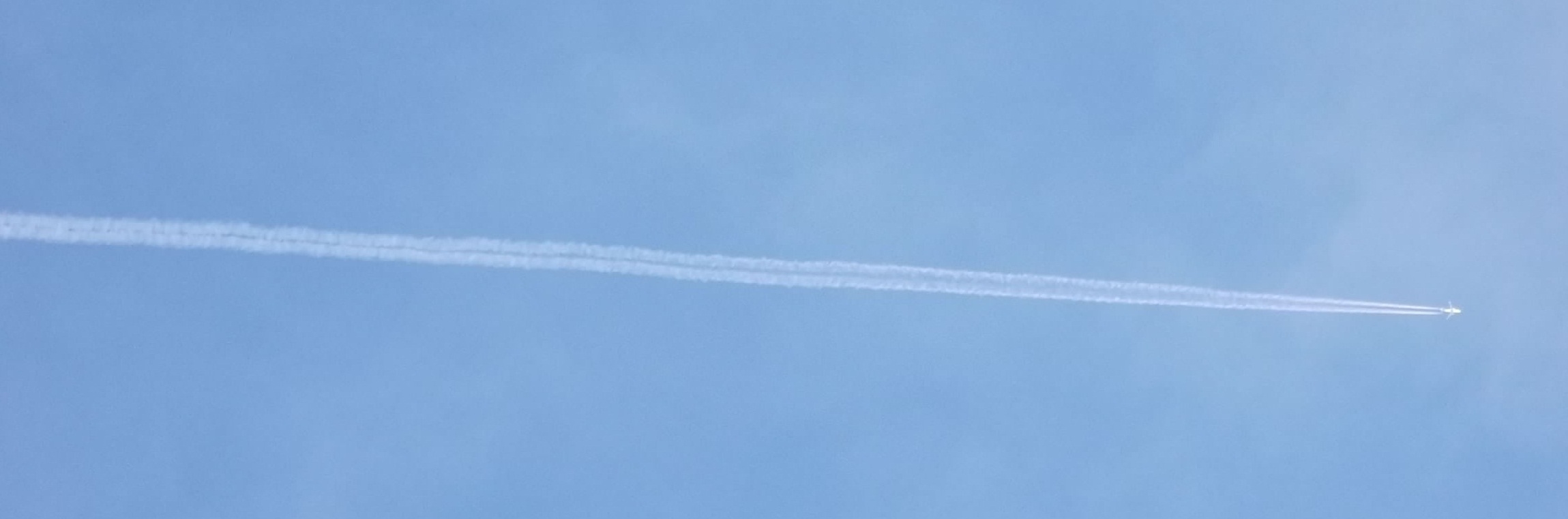 DSCF0682y.jpg (172180 bytes)