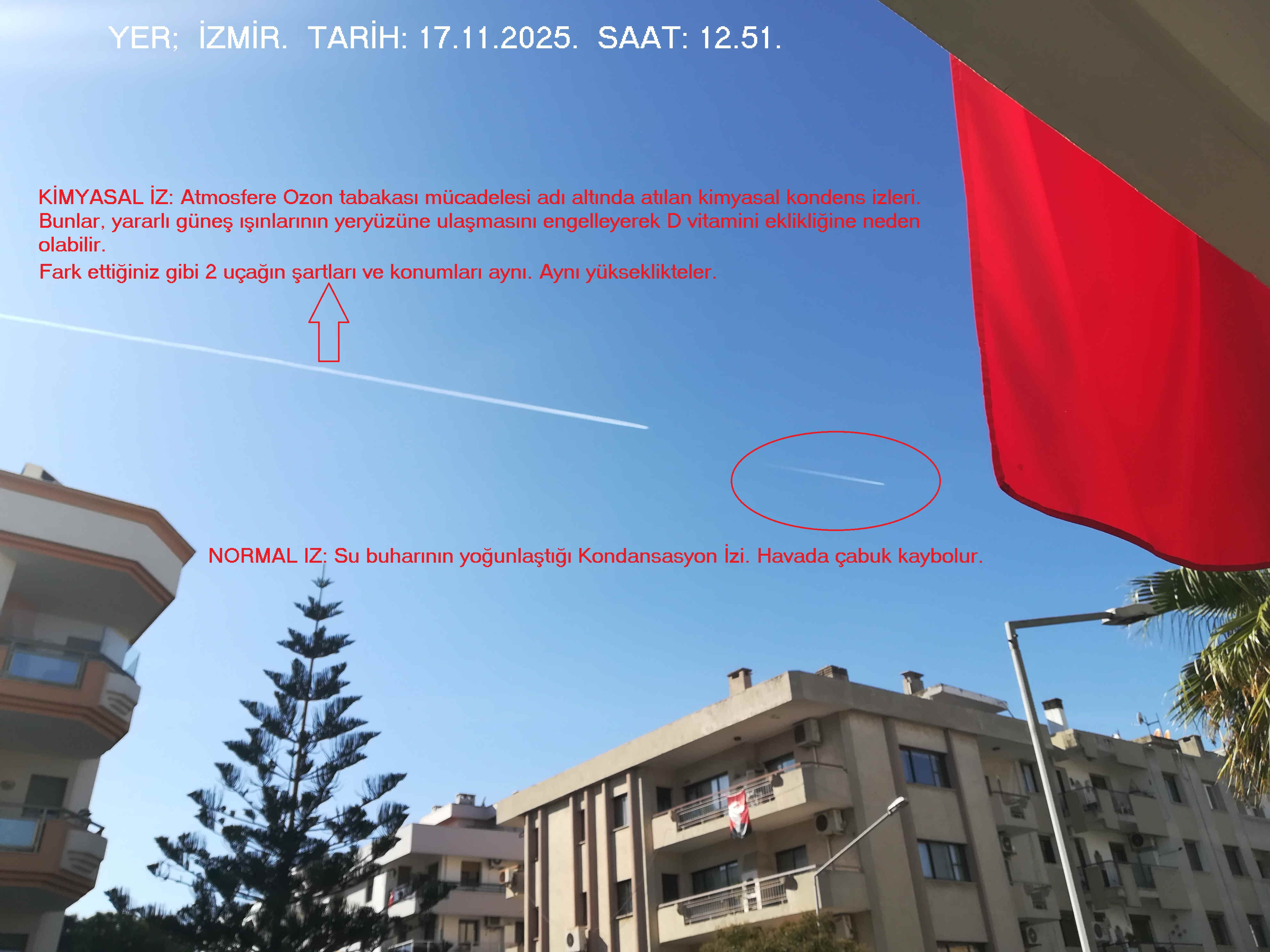 IMG_20251117_125132.jpg (610016 bytes)