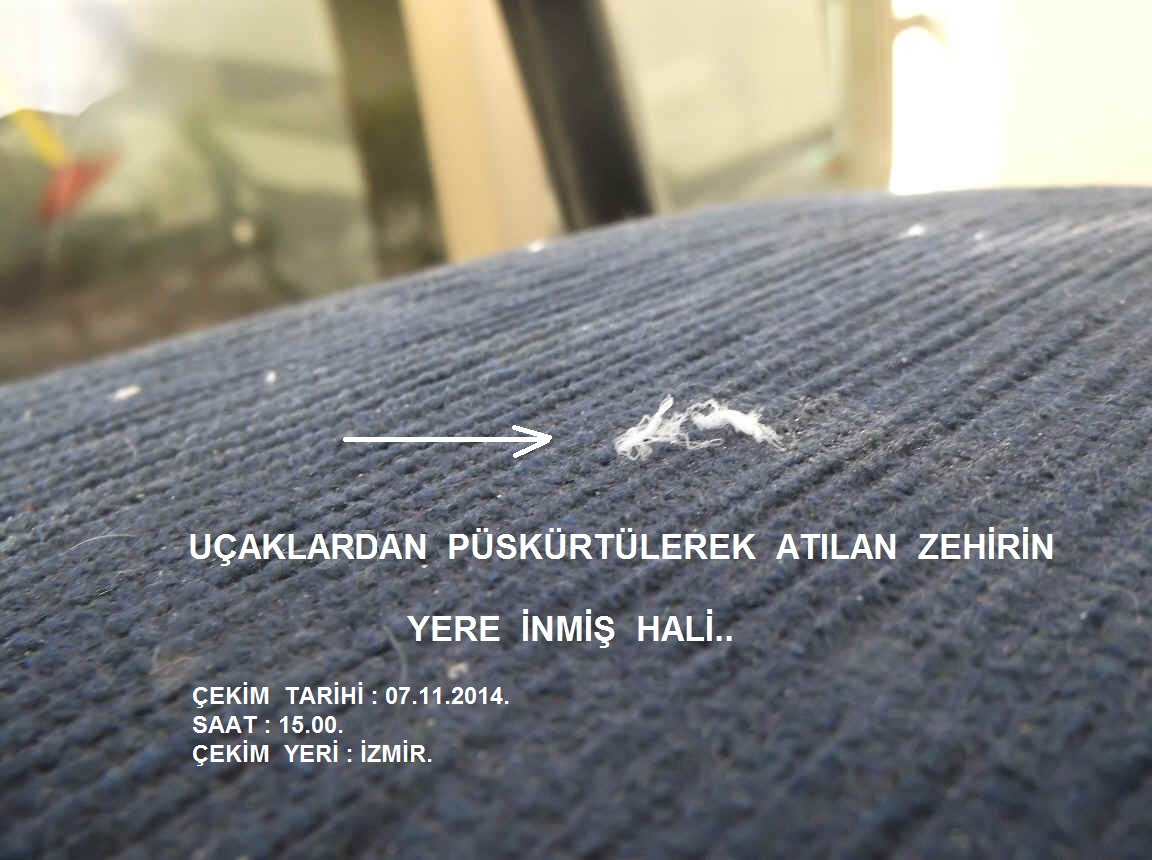 chemDSCF1131.jpg (182411 bytes)